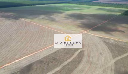 Fazenda à venda, 4452800 m² por R$ 22.080.000 - Papagaio - Selviria/MS