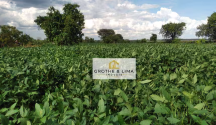 Fazenda à venda com dupla aptidão localizada Em Tocantins, a 149 Km De Palmas/TO