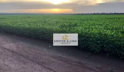 Fazenda à venda na região de Balsas/MA.