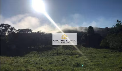 Chácara com 4 dormitórios à venda, 30000 m² por R$ 450.000 - Costinha - São José dos Campos/SP