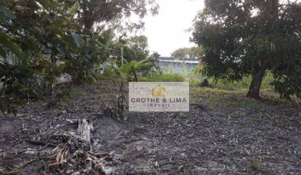 Terreno à venda, 1300 m² - Chácaras Reunidas Igarapés - Jacareí/SP