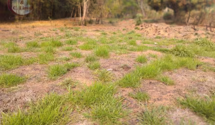 Terreno à venda, 2200 m² por R$ 251.500,00 - Espírito Santo - Paraibuna/SP