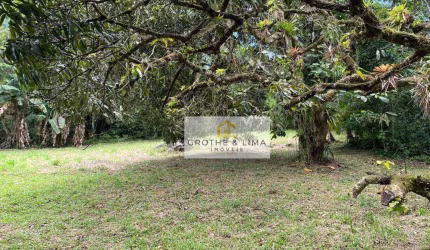 Sítio com 1 dormitório à venda, 363000 m² por R$ 5.500.000,00 - Maranduba - Ubatuba/SP
