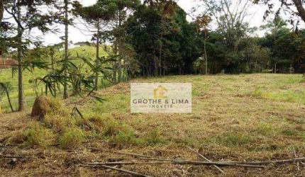 Terreno à venda, 2300 m² por R$ 380.000,00 - Chácara Itamarati - Caçapava/SP