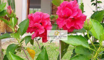 Terreno Cond.Altos da Quinta