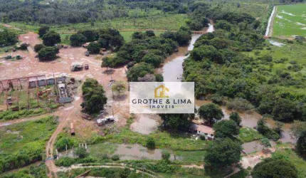Fazenda à venda, 8000 hectares por R$ 407.000.000 - Centro - Lagoa da  Confusão/TO