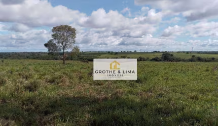 Vendo fazenda  próximo a cidade de Arapoema e Wanderlândia