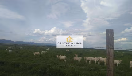 Fazenda com 8 dormitórios à venda, 1742400 m² por R$ 21.000.000,00 - Zona Rural - São José dos Campos/SP