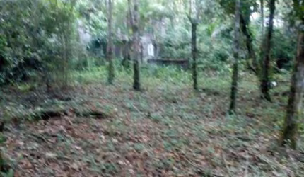 TERRENO EM UBATUMIRIM