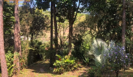 Casa com 3 dormitórios à venda, 350 m² por R$ 730.000,00 - Barra do Azeite - Cajati/SP