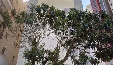 Apartamento padrão à Venda, Jardim Higienópolis, Londrina, PR