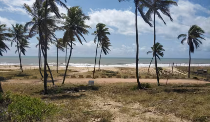 Terreno para Venda em Esplanada