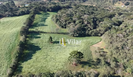 Área à venda, 55904 m² por R$ 650.000,00 - Planta Laranjeiras - Piraquara/PR