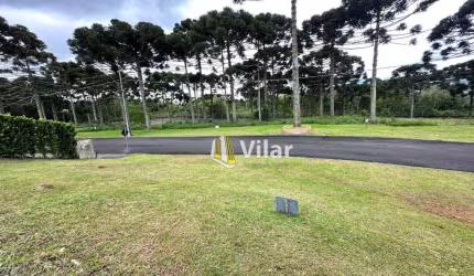 Terreno à venda, 1007 m² por R$ 630.000 - Vila Fuck - Piraquara/PR