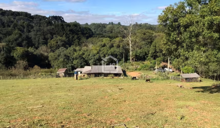 BelÍssima Área rural, Thomaz Coelho, Araucaria - PR