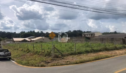 Terrenos no centro, Centro, Araucaria - PR