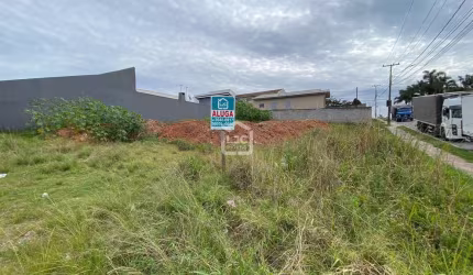 Terreno frente a risotolandia, Thomaz Coelho, Araucaria - PR