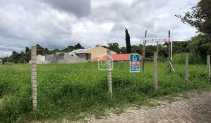 Terreno comercial, Centro, Araucaria - PR