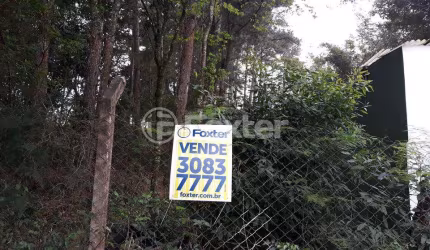 Terreno comercial à venda na Estrada das Três Meninas, 1160, Vila Nova, Porto Alegre, 904 m2 por R$ 260.000