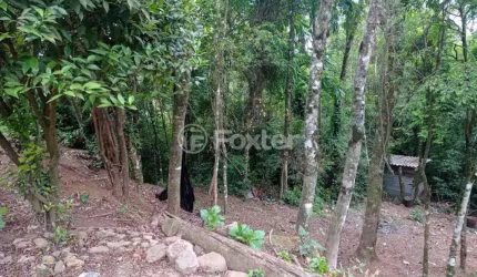 Terreno à venda na Rua 8 de Março, L07, Carazal, Gramado, 743 m2 por R$ 240.000