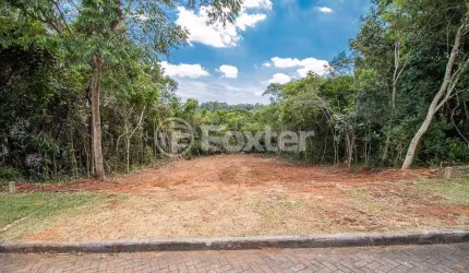 Terreno em condomínio fechado à venda na Avenida Senador Salgado Filho, 8500, Vila Augusta, Viamão, 338 m2 por R$ 330.000