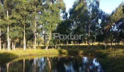 Terreno à venda na Estrada do Quilombo, 1641, Feitoria, São Leopoldo, 60000 m2 por R$ 2.660.000