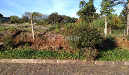 Terreno à venda na Avenida Cônego Peres, LOTE 01, São Cristovão, Nova Prata, 800 m2 por R$ 420.000