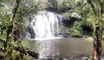 Terreno à venda na Avenida José Pedro Piva, 1000, Bosque Sinoserra, Canela, 92711 m2 por R$ 12.000.000