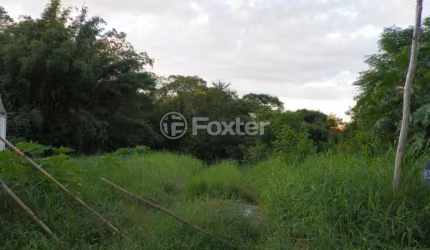 Terreno comercial à venda na Rua Bazilio Pellin Filho, 1166, Vila Conceição, Porto Alegre, 1355 m2 por R$ 600.000