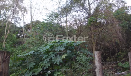 Terreno à venda na Estrada do Rincão, 777, Belém Velho, Porto Alegre, 795 m2 por R$ 180.000
