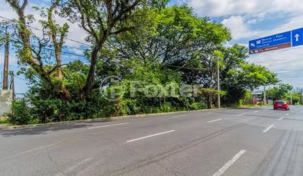 Terreno comercial à venda na Avenida Pinheiro Borda, 267, Cristal, Porto Alegre, 484 m2 por R$ 1.500.000