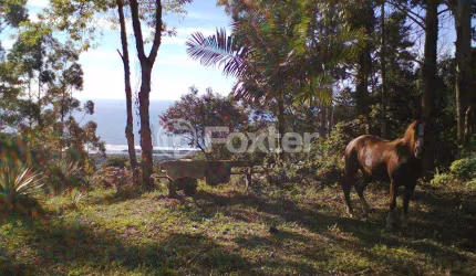 Terreno à venda na Estrada Paulo Lopes, 500, Centro, Paulo Lopes, 33000 m2 por R$ 1.800.000