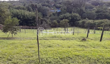 Terreno comercial à venda na Avenida Belém Velho, 3580, Vila Nova, Porto Alegre, 6396 m2 por R$ 1.300.000