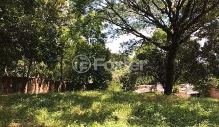 Terreno comercial à venda na Avenida Wenceslau Escobar, 3515, Vila Conceição, Porto Alegre, 3291 m2 por R$ 800.000