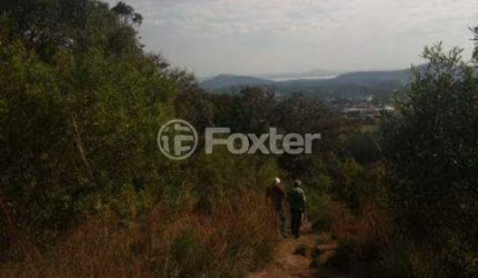Terreno comercial à venda na Beco Restinga, 5019, Restinga, Porto Alegre, 20000 m2 por R$ 1.900.000