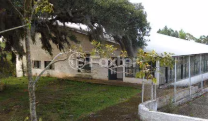 Terreno comercial à venda na Estrada Municipal Bercírio Manoel Cardoso, 545, Barro Vermelho, Gravataí, 145000 m2 por R$ 3.000.000