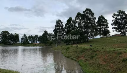 Fazenda à venda na Travessa Albino Gollo, 1463, Capela São Pedro, Camaquã, 70000 m2 por R$ 4.655.000