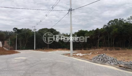 Terreno em condomínio fechado à venda na Avenida Senador Salgado Filho, 5087, Viamópolis, Viamão, 361 m2 por R$ 234.097