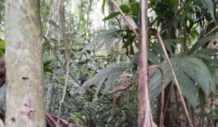 Terreno à venda na Parque Vila da Serra, 5, Vila da Serra, Osório, 375 m2 por R$ 90.000
