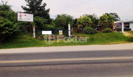 Terreno comercial à venda na Avenida Delegado Ely Corrêa Prado, 1340, Mário Quintana, Porto Alegre, 25500 m2 por R$ 3.200.000