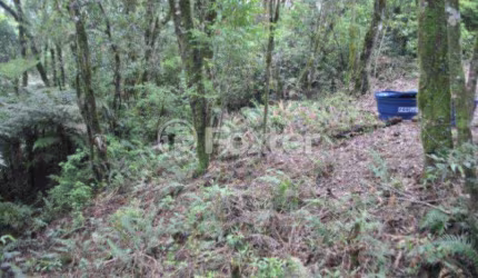 Terreno à venda na Rodovia VRS-873, KM 03, Centro, Morro Reuter, 829 m2 por R$ 150.000