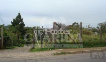 Terreno à venda na Estrada João de Oliveira Remião, 6050, Lomba do Pinheiro, Porto Alegre, 5550 m2 por R$ 3.000.000