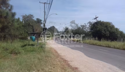 Terreno à venda na Avenida do Lami, 6979, Lami, Porto Alegre, 902 m2 por R$ 160.000
