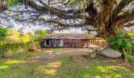 Casa com 6 quartos à venda na Rua Oito Mil Oitocentos e Quarenta e Cinco, 80, Lageado, Porto Alegre, 480 m2 por R$ 332.405