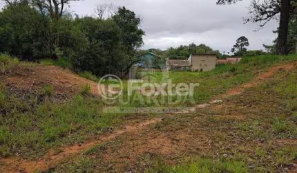 Terreno à venda na Rua Florêncio Farias, 722, Belém Novo, Porto Alegre, 156 m2 por R$ 115.000