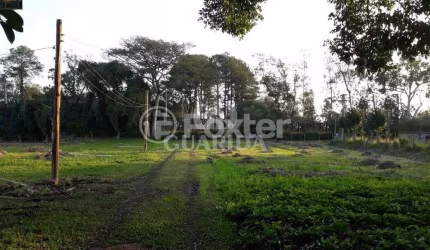 Terreno à venda na Avenida Edgar Pires de Castro, 4346, Restinga, Porto Alegre, 14770 m2 por R$ 4.430.000