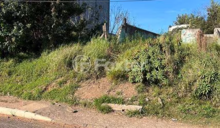 Terreno comercial à venda na Avenida Manoel Elias, 1096, Jardim Leopoldina, Porto Alegre, 350 m2 por R$ 550.000