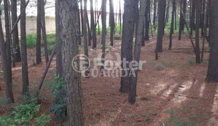 Terreno à venda na Estrada José Zingano, 721, Distrito Industrial, Cachoeirinha, 5330 m2 por R$ 1.187.595