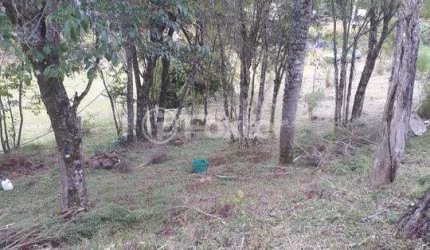 Fazenda à venda na Rua da Pedreira, 0000, Centro, Nova Petrópolis, 1177760 m2 por R$ 383.400