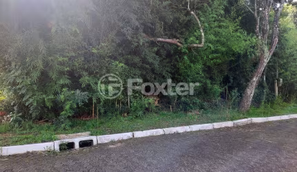 Terreno em condomínio fechado à venda na Rua das Figueiras, 206, São Lucas, Viamão, 420 m2 por R$ 140.000